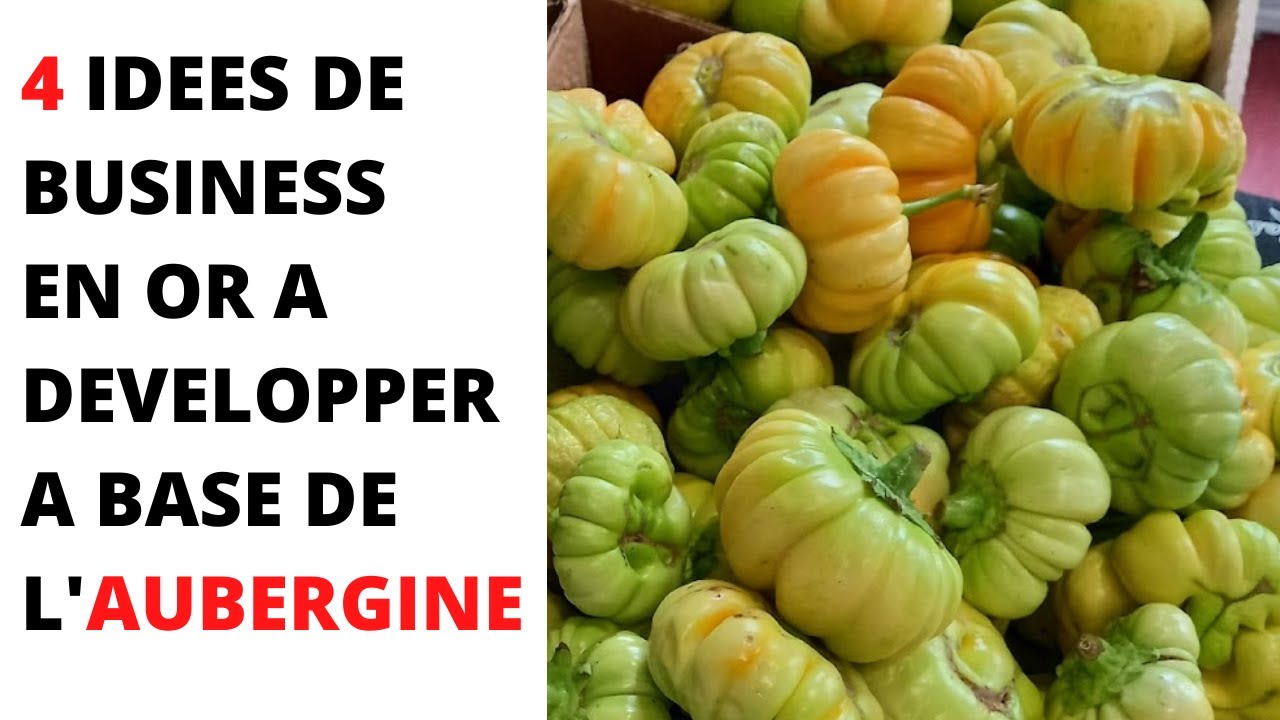 4 IDEES DE BUSINESS en Or à Développer à Base d'AUBERGINE