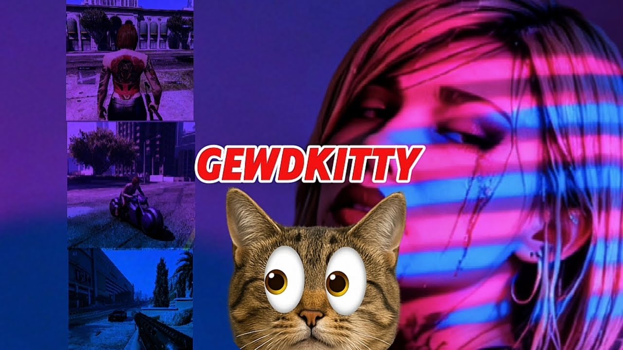 GTA5 cat litter 