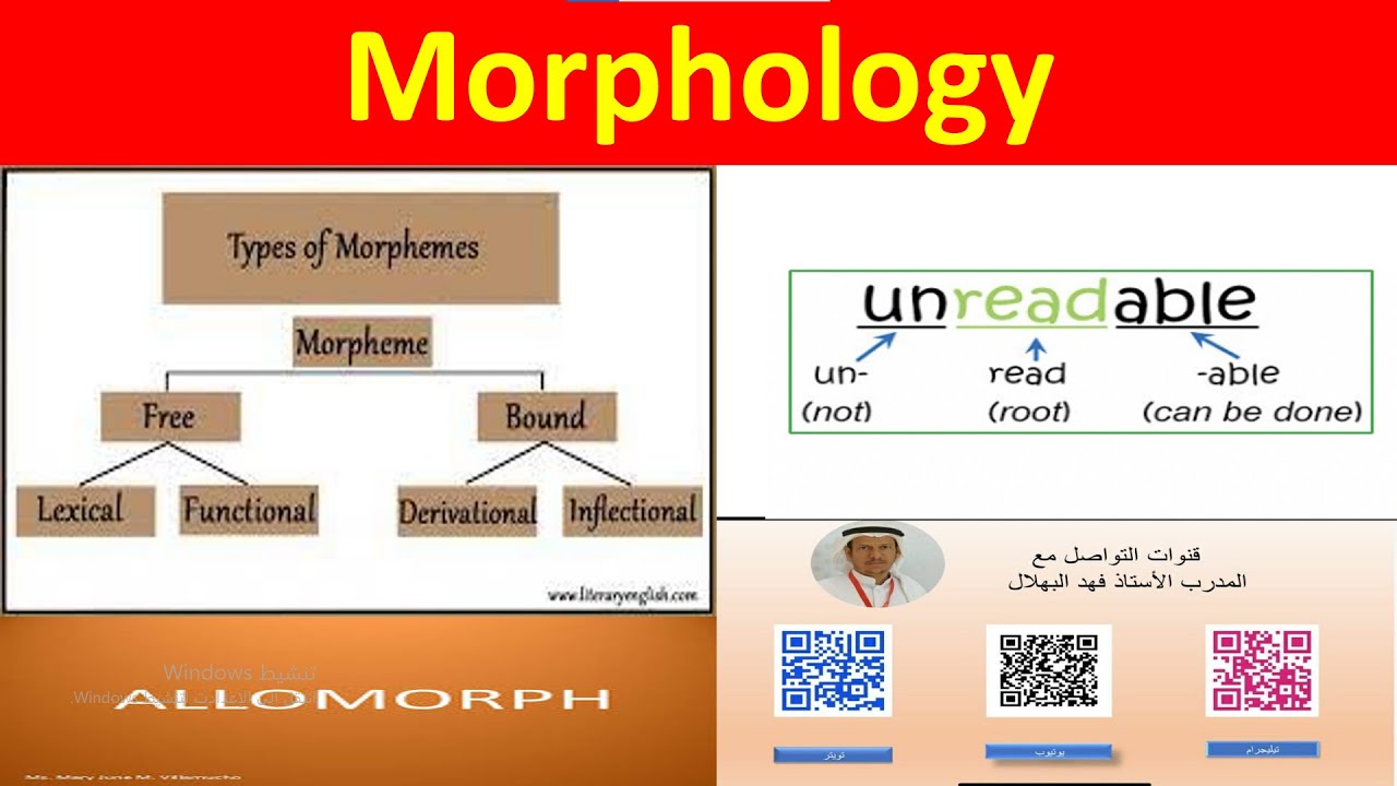 Morphology مورفوفوجي