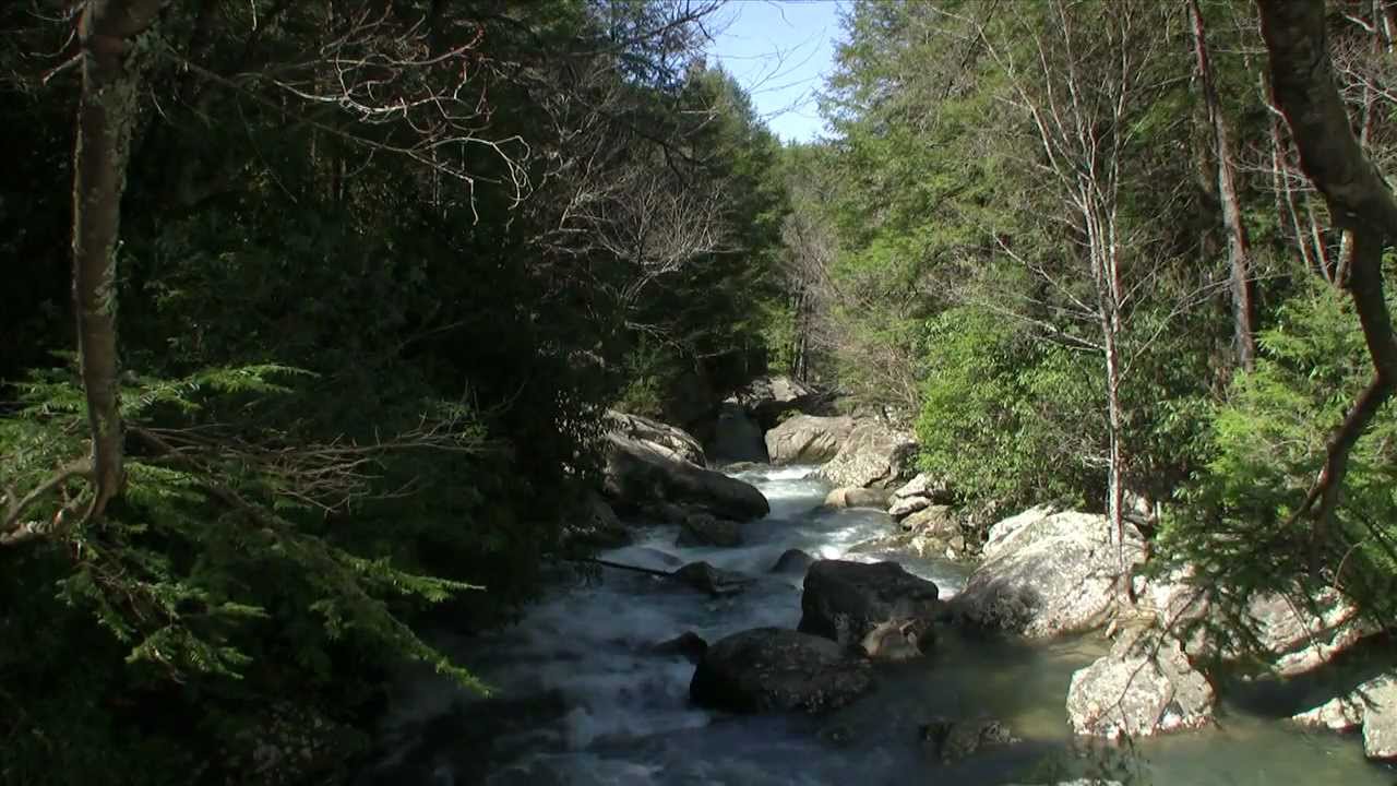 Savage Falls - Tennessee