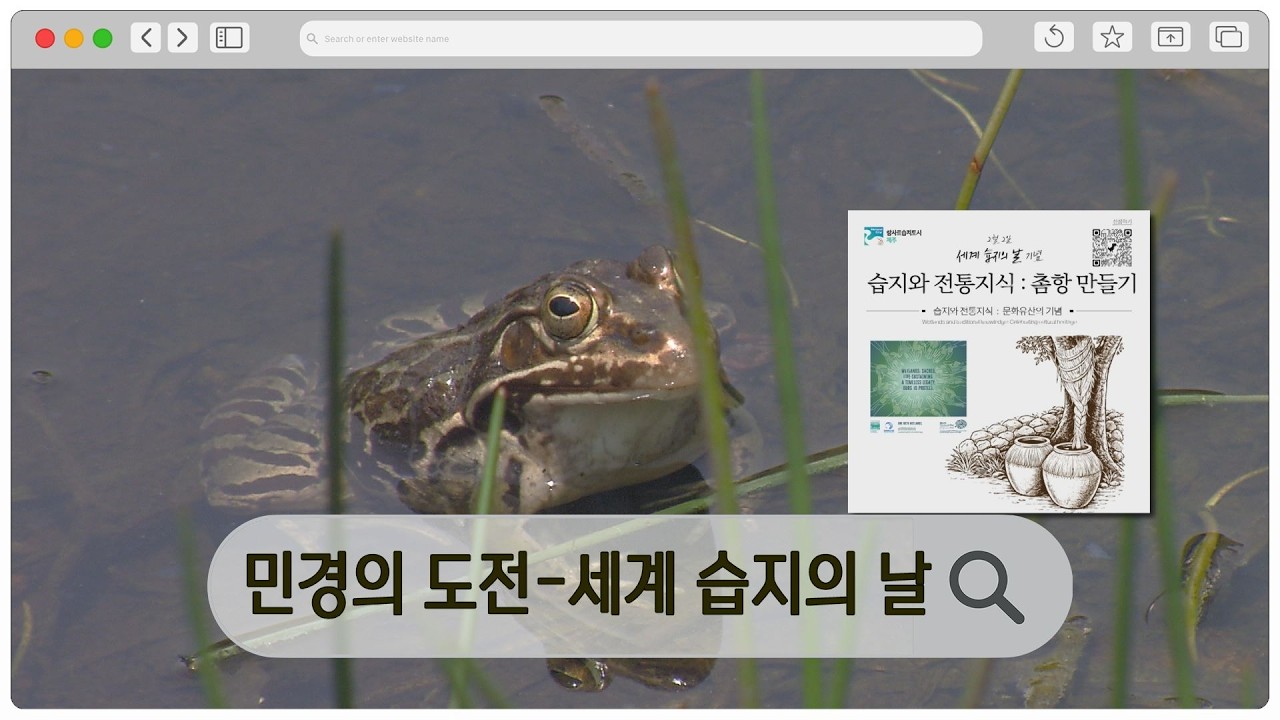 세계 습지의 날 