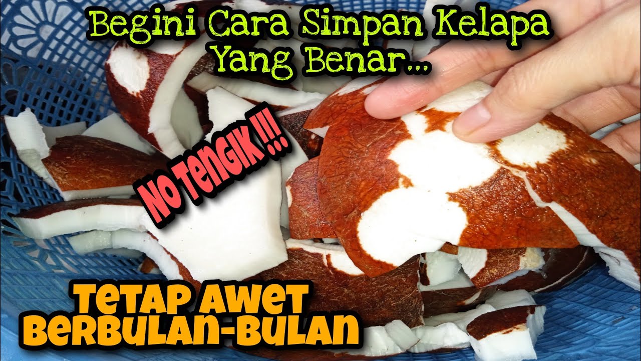 Cara Menyimpan Kelapa Agar Awet Berbulan-bulan‼️No Tengik ⁉️