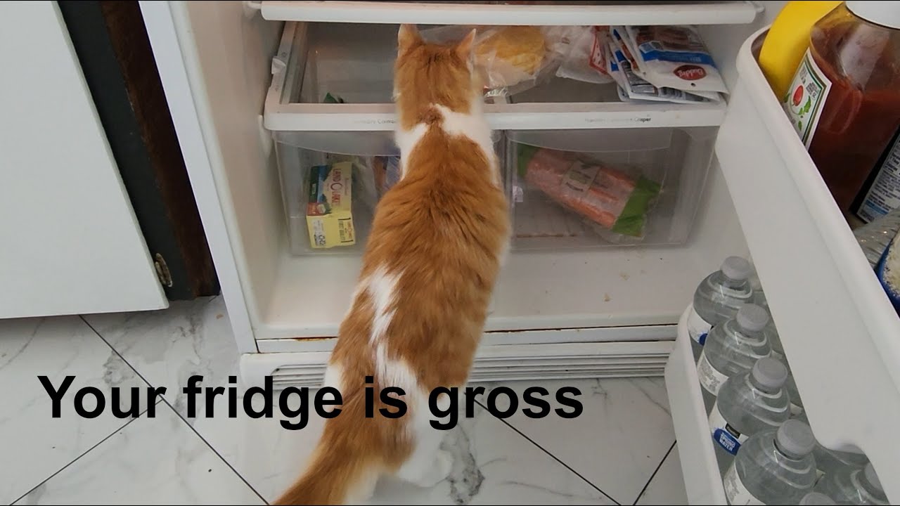 Easiest way to clean your fridge