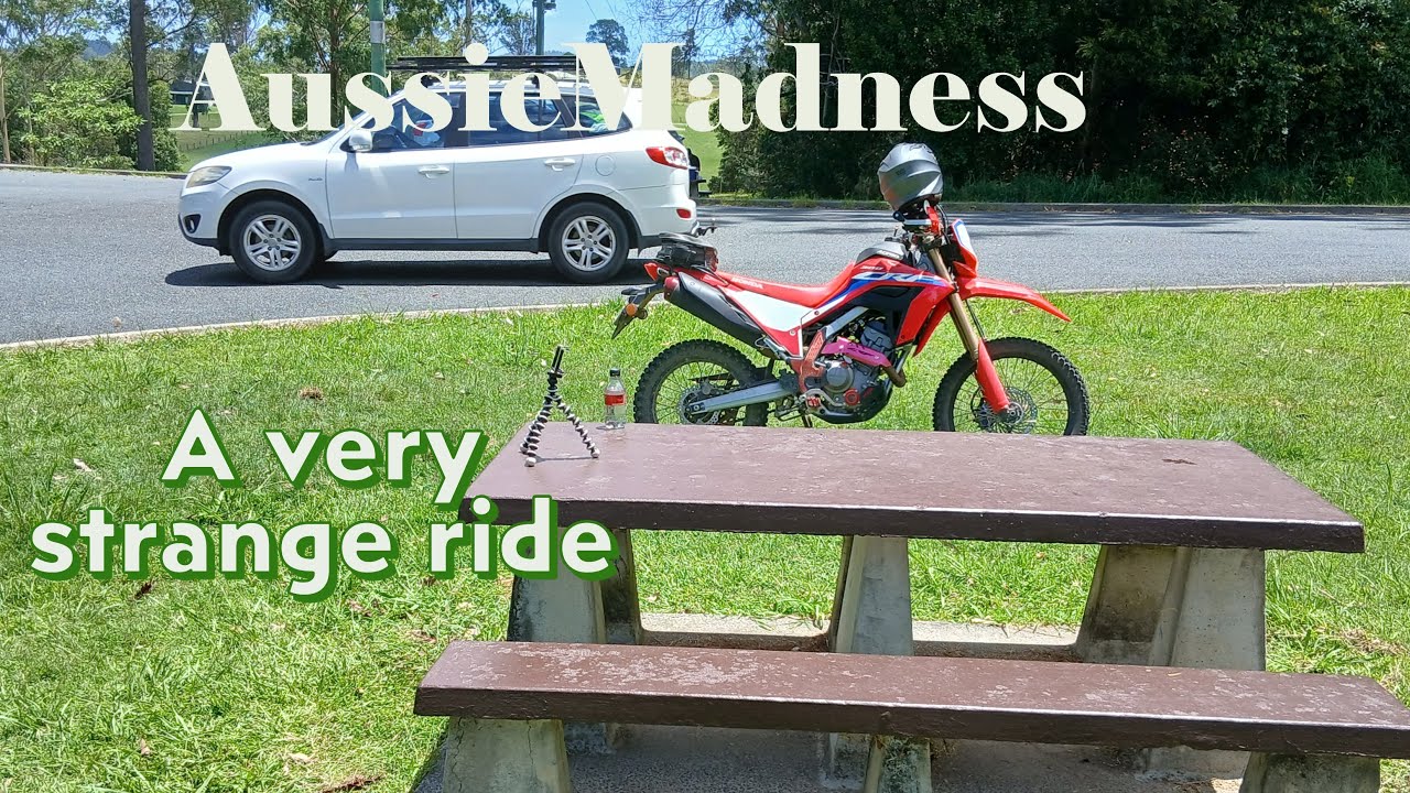 Honda A strange ride#crf300l #adventurebikes