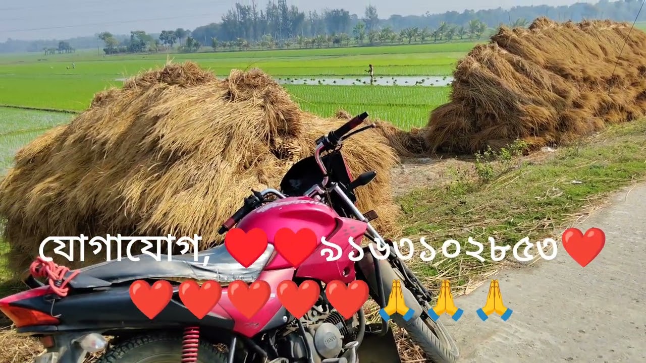খুব সুন্দর মনের মত ভিডিও চার বিঘা জমি দয়া করে ভিডিওটি একবার দেখবে সাবস্ক্রাইব কমেন্ট ও শেয়ার 