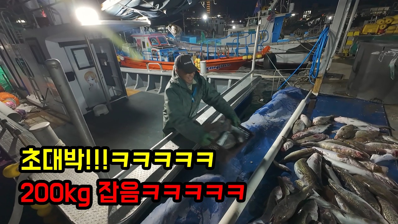 초대박났습니다!! 대구 200키로 잡았는데 가격까지 초대박 났습니다ㅋㅋㅋㅋㅋㅋㅋㅋ