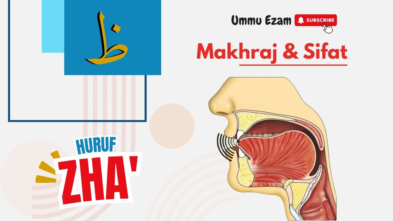 Makhraj Huruf Zha' ظ | #belajartahsin