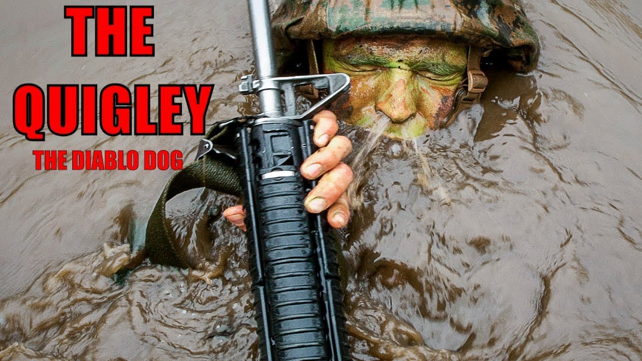 THE QUIGLEY: 