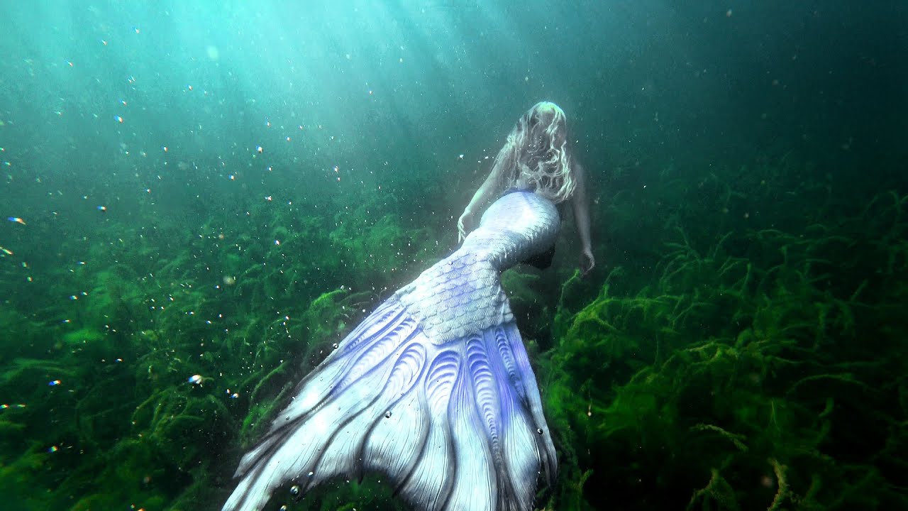 MERMAID SWIMMING IN SEAWEED WITH FISH 🌿💦 Real Mermaid Performer swims in dense Green Seaweed (4K)