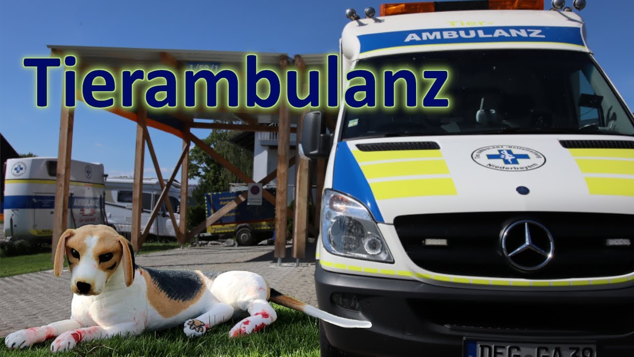 Tiere in NOT - Hinter den Kulissen der Tierrettung