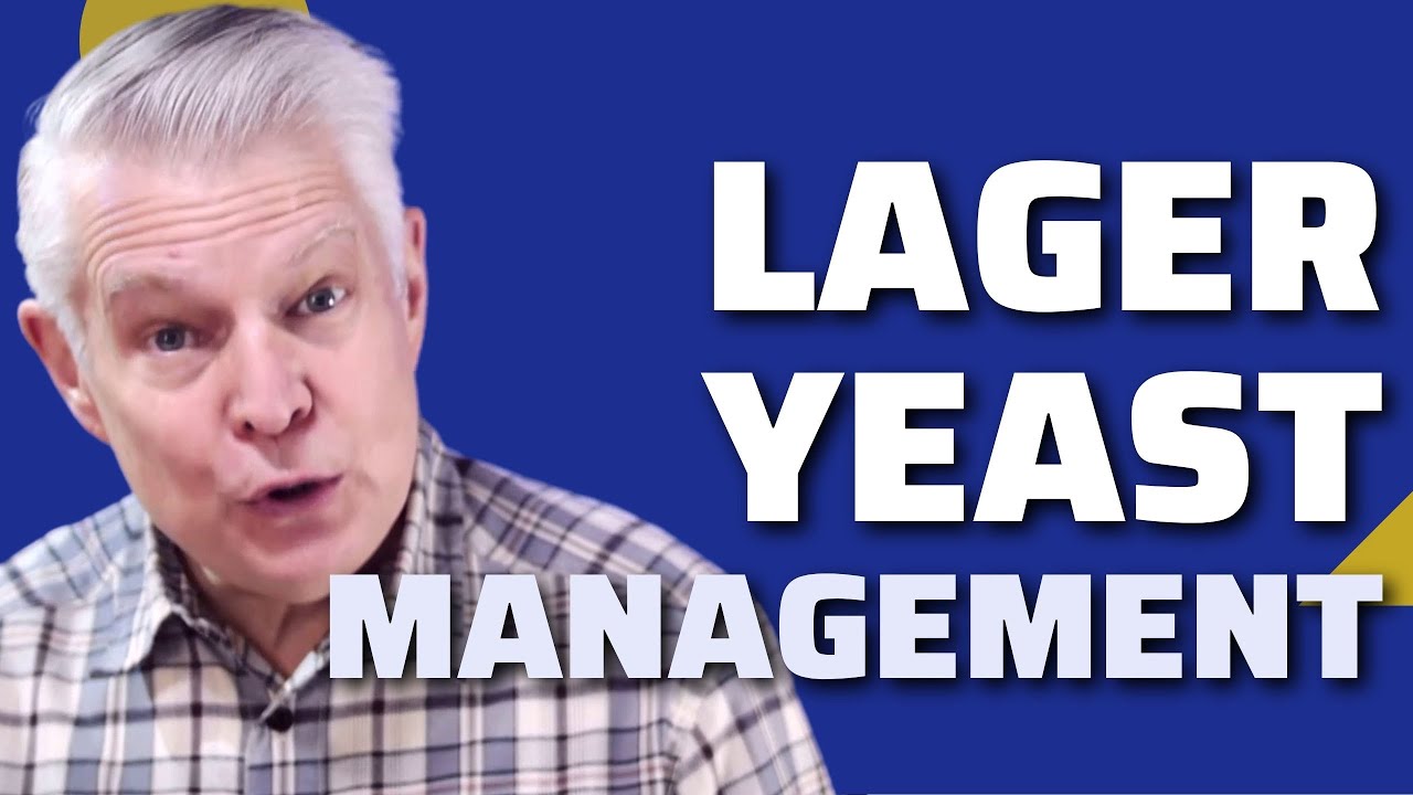 Brewing Beer: Fermentation Yeasts - Lager Yeast Management