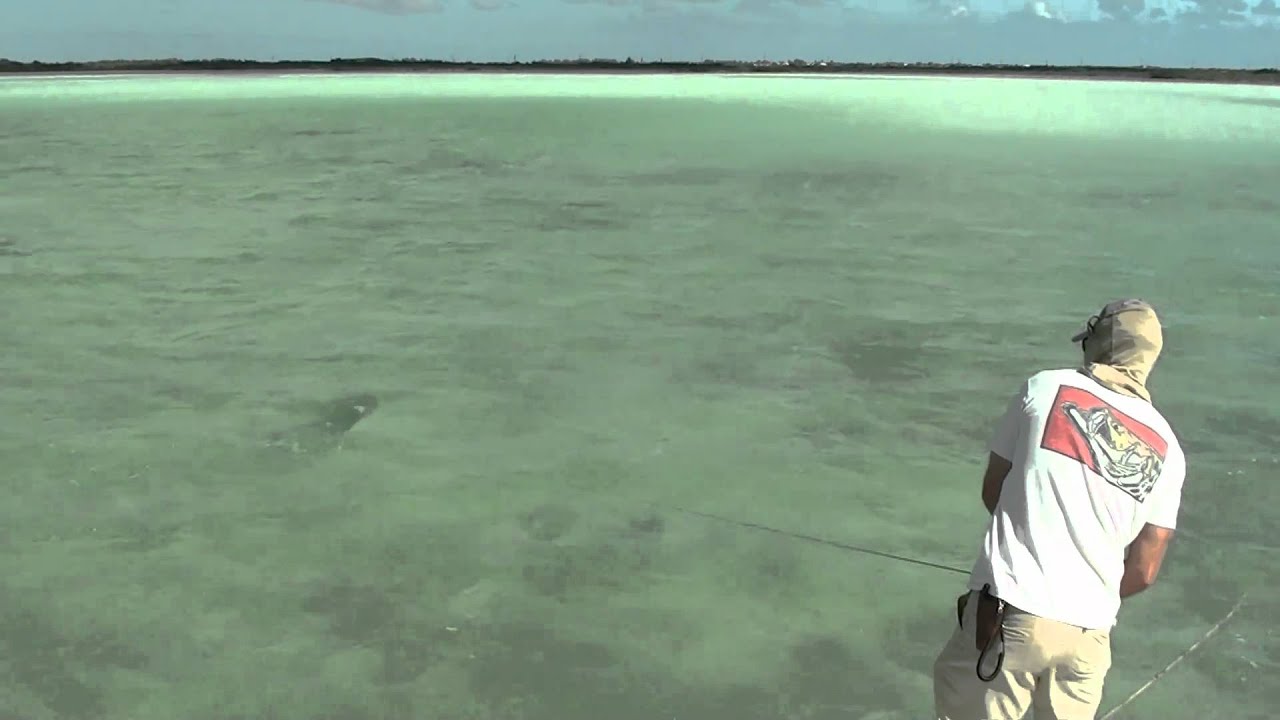 Fly fishing for Tarpon in Key West