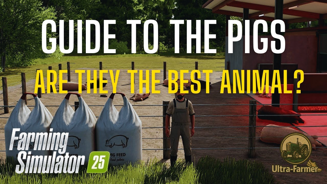 Guide to Pigs - Farming Simulator 25 - Tutorial