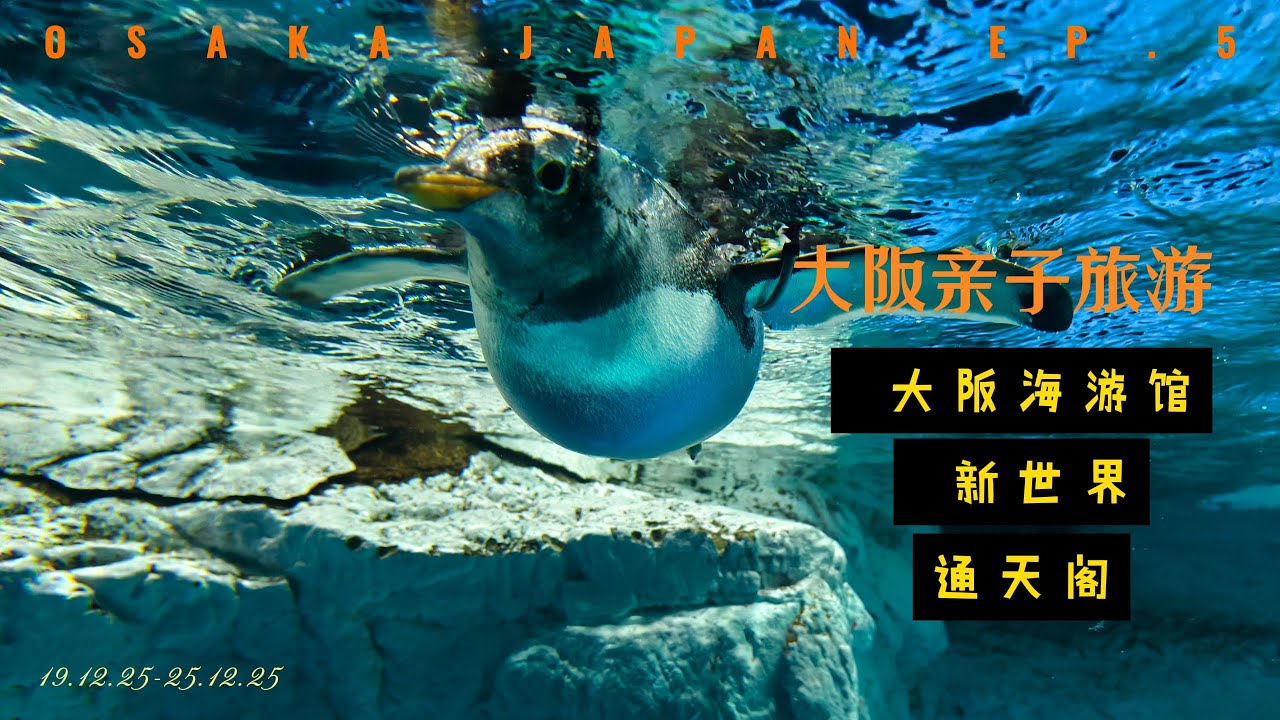 大阪亲子游 Day5 海游馆