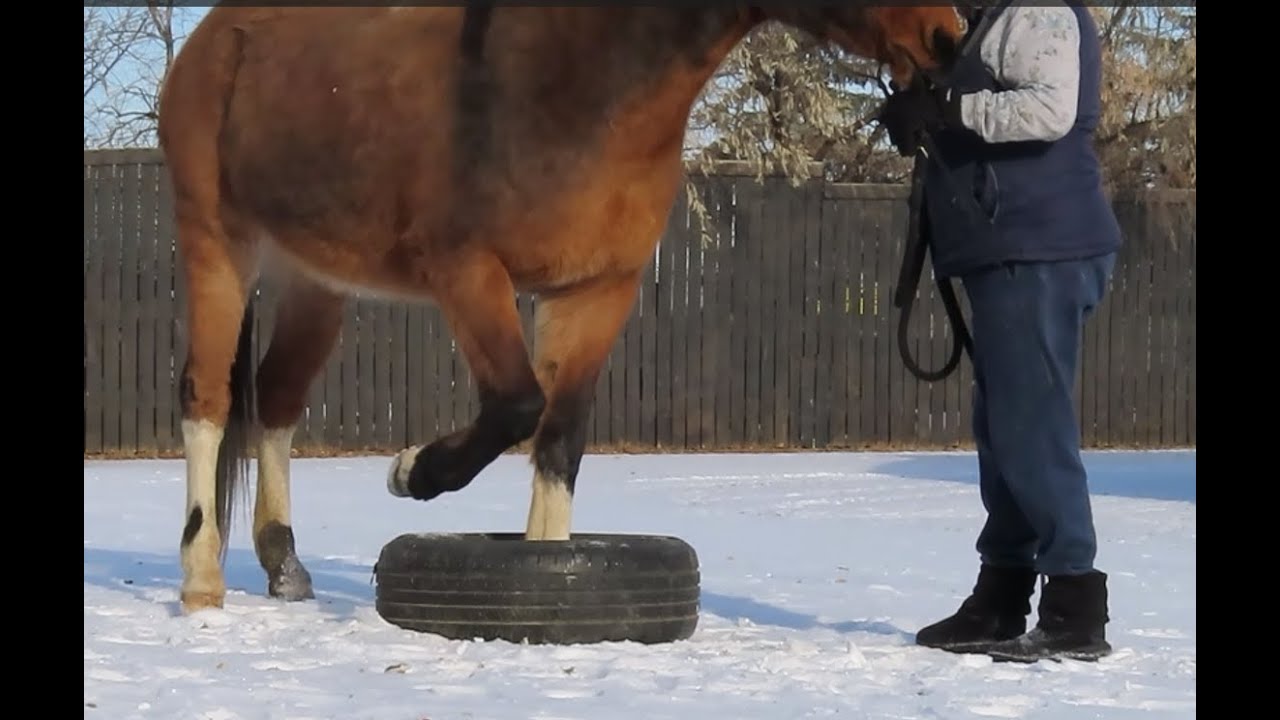 26 Jan 26 Circling The Spare Tire