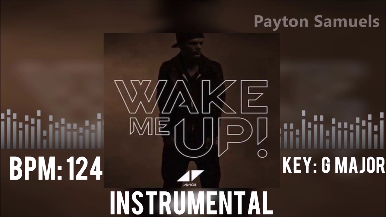 Avicii ft. Aloe Blacc - Wake Me Up (Official Instrumental Radio Edit)