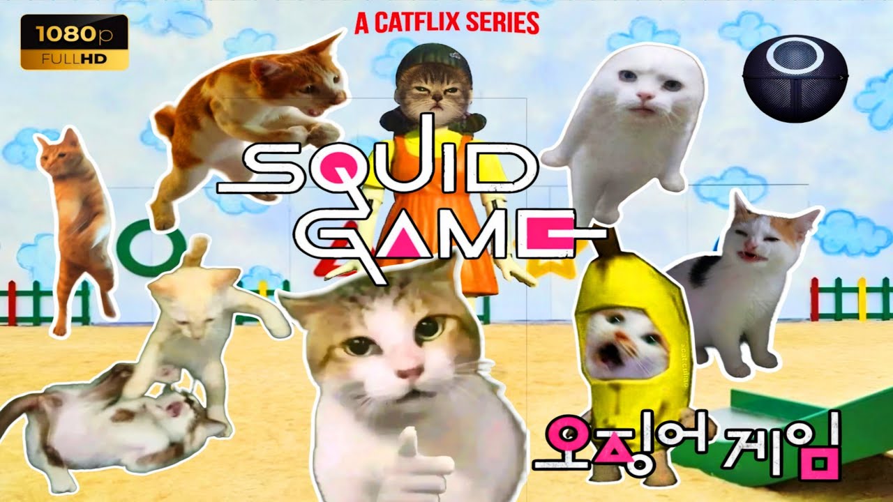 KUCING SQUID GAME | para kucing meme bersaing untuk menjadi juara!! #meme #kucing
