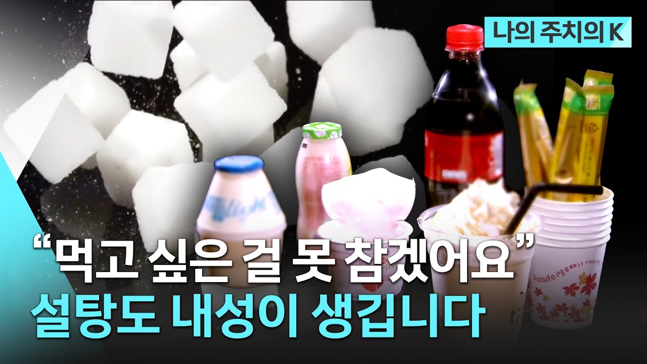 피할 수 없는 설탕의 유혹🥞 건강하게 먹는 방법은? | KBS 생로병사의 비밀 방송 | 나의 주치의K