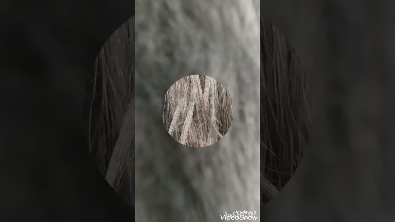 MEGA HAIR MICRO C&Aacute;PSULAS #shorts