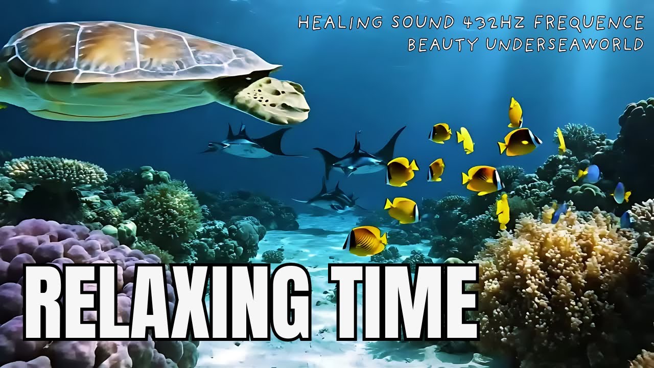 Underwater Sleep Therapy | Calm Blue Ocean POV