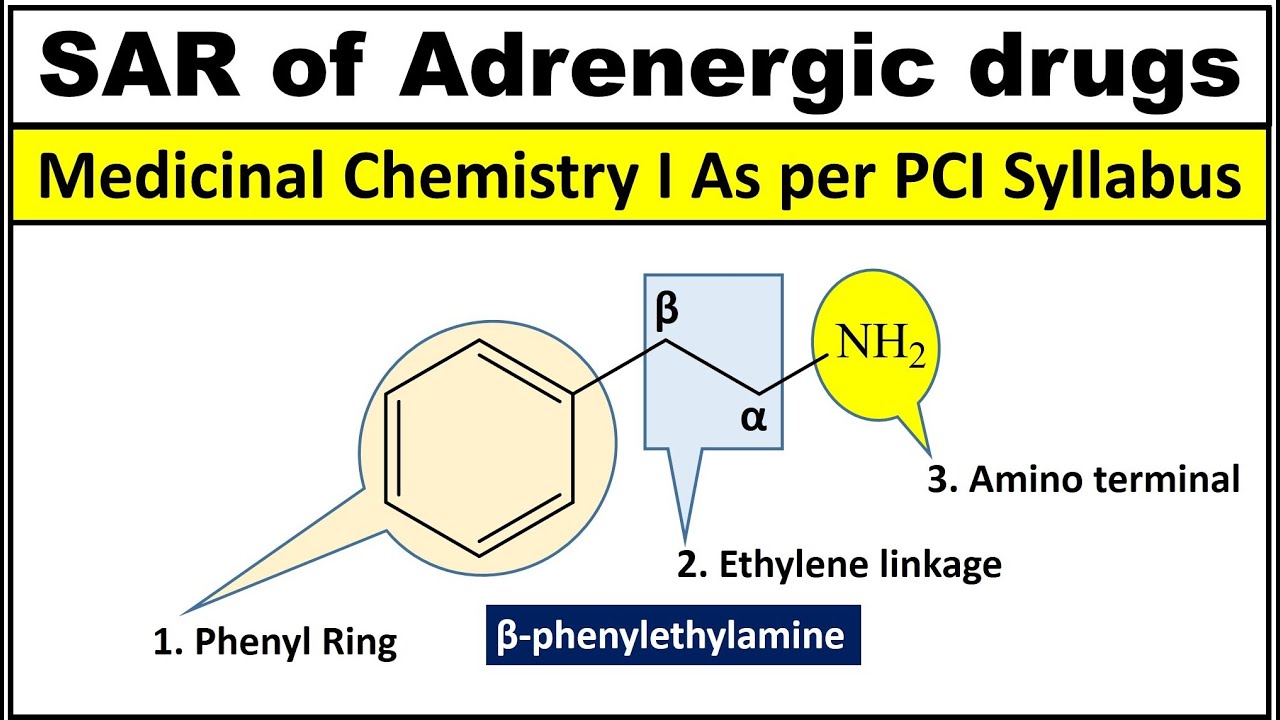 SAR of Adrenergic Drugs. SAR of Sympathomimetic Drugs