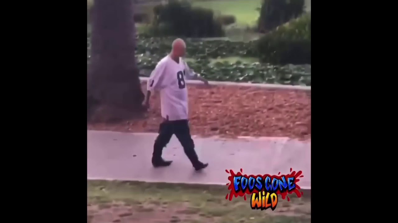 FOO SIGHTINGS #2