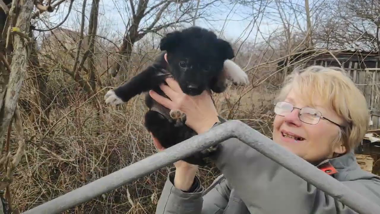 Огляд дачі.  Працюємо.