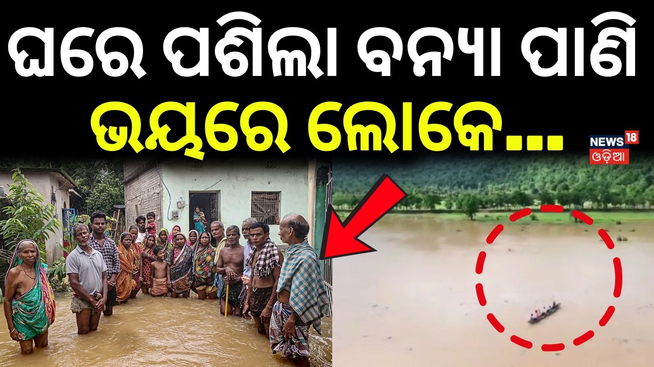 ଘରେ ପଶିଲା ବନ୍ଯା...Flood Crisis Deepens in Bhadrak ! Villages Underwater | Flood Update | Odia News