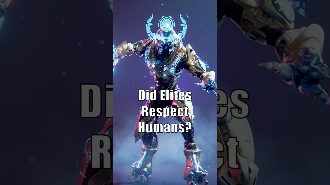Did Elites respect Humanity? #halo #halolore