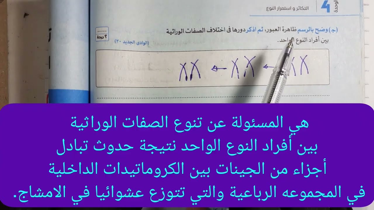 حل نموذج عام علي الوحدة الرابعة علوم ثالثة إعدادى 2024 الترم الأول