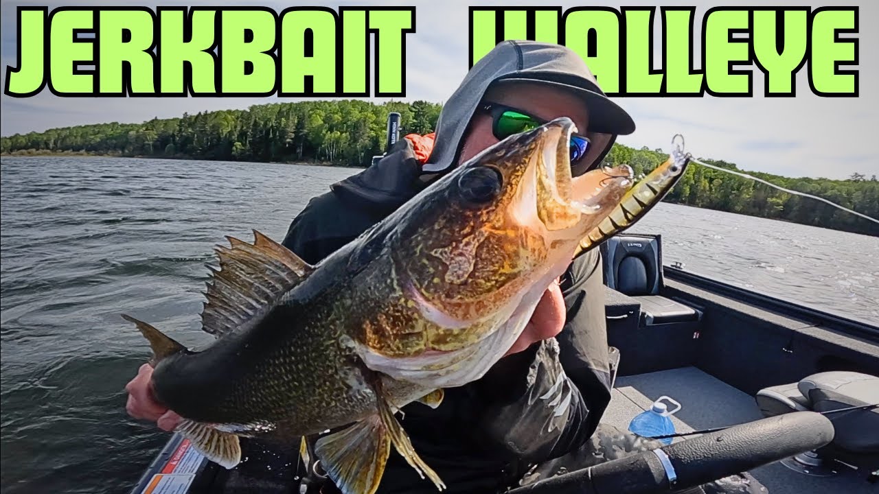 GIANT Cold Water WALLEYE on a Jerkbait! + Hook in My Hand  (Multi-Species Mayhem)