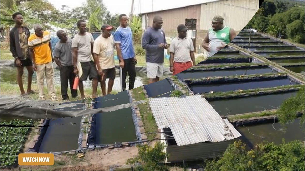 Why Ghana’s Millionaire Fish Farmer Turns His Farm Into Training Grounds For Other African National