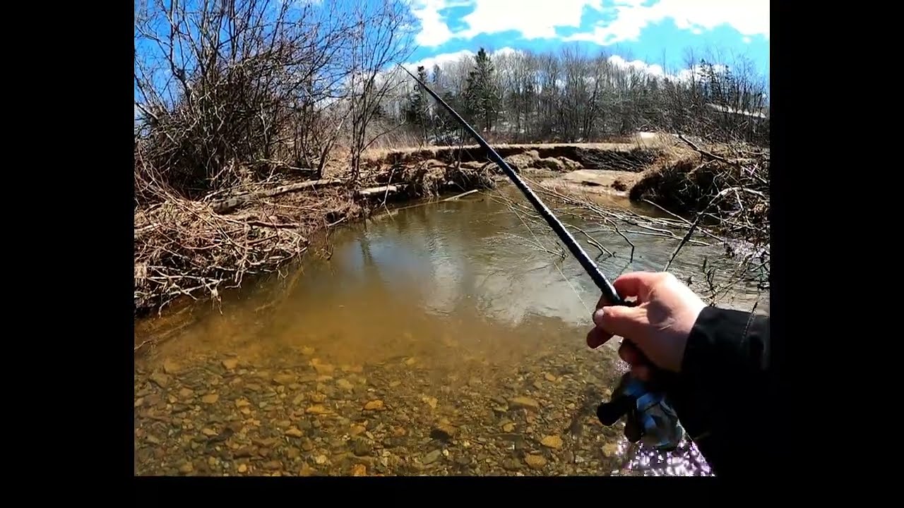 Spring Brook Trout Fishing in Nova Scotia 2025
