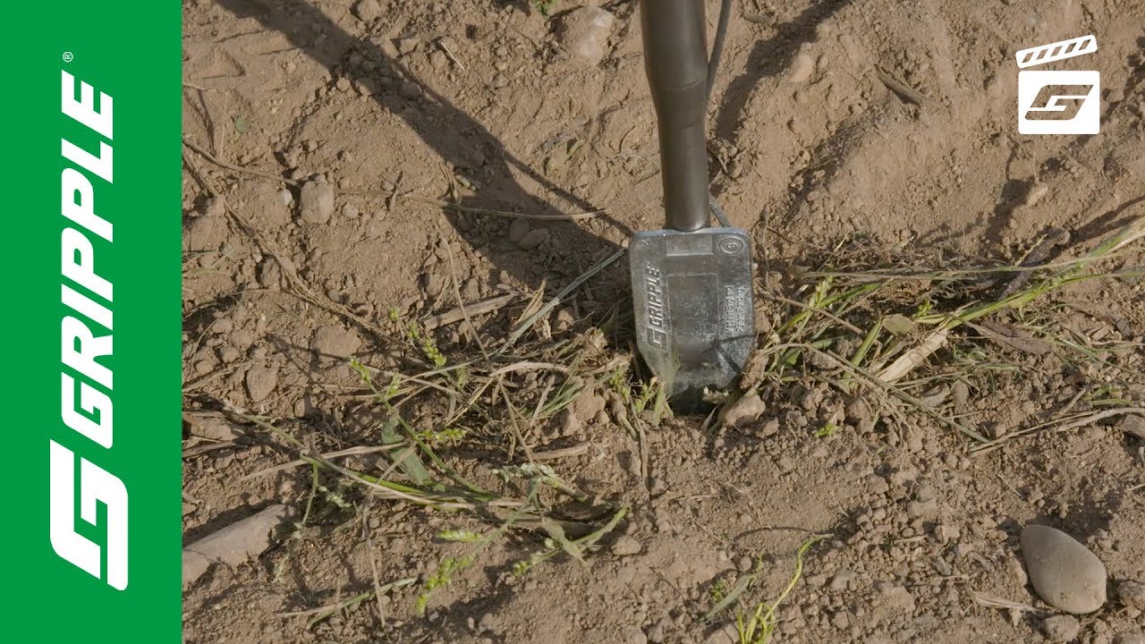 Ancre Gripple installée avec le GPD