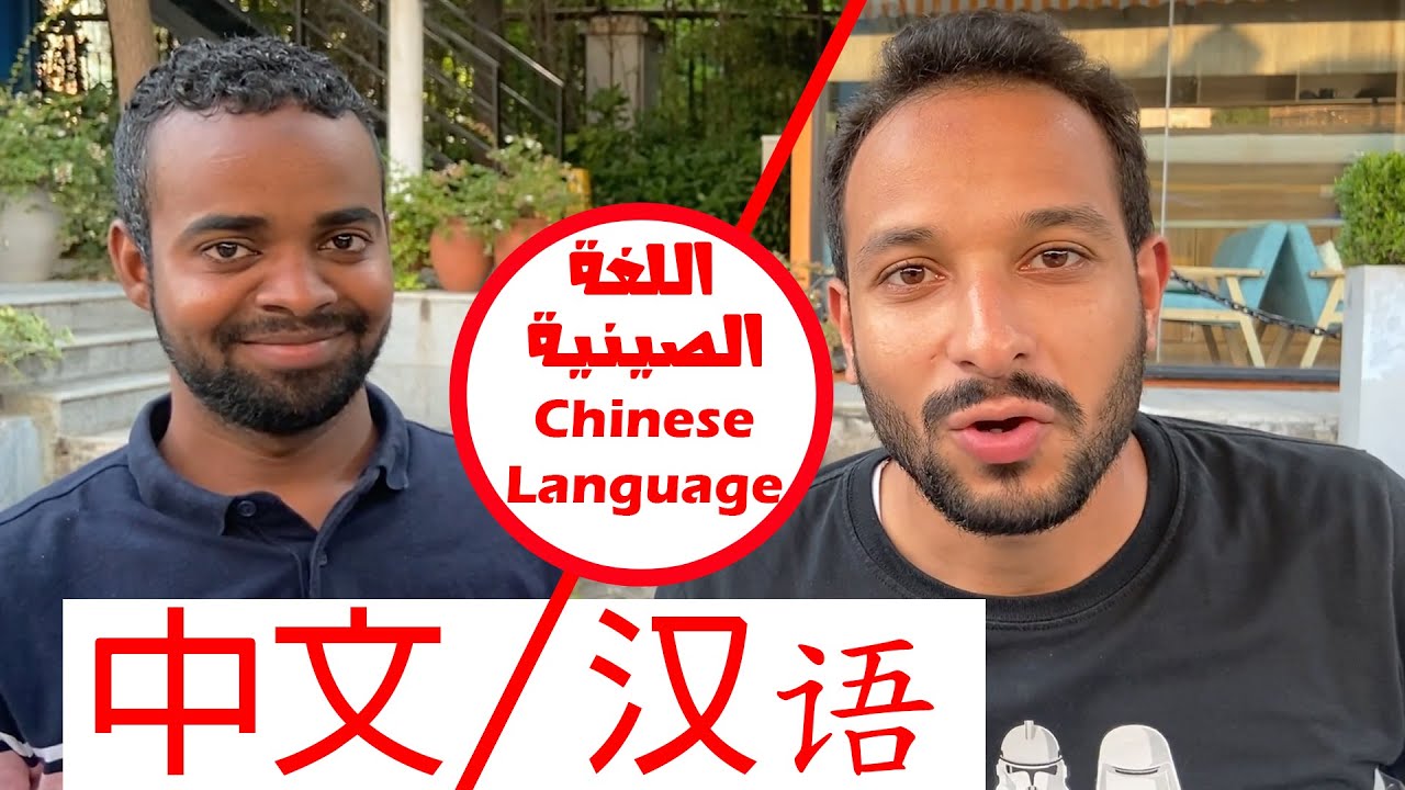 معلومات عن اللغة الصينية || 学习汉语  || Chinese Language