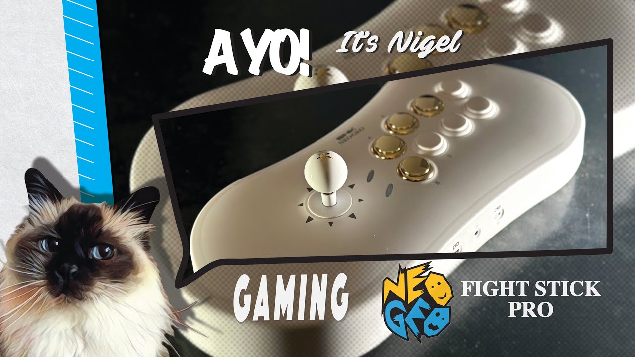 Neo Geo Fight Stick Pro | Sanwa Joystick Swap | A YO Gaming