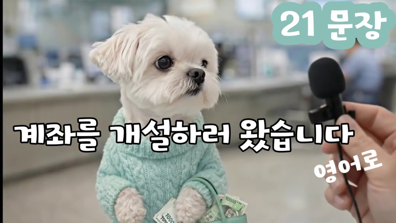  I'm here to 패턴 + 틀어놓기 좋은 영어