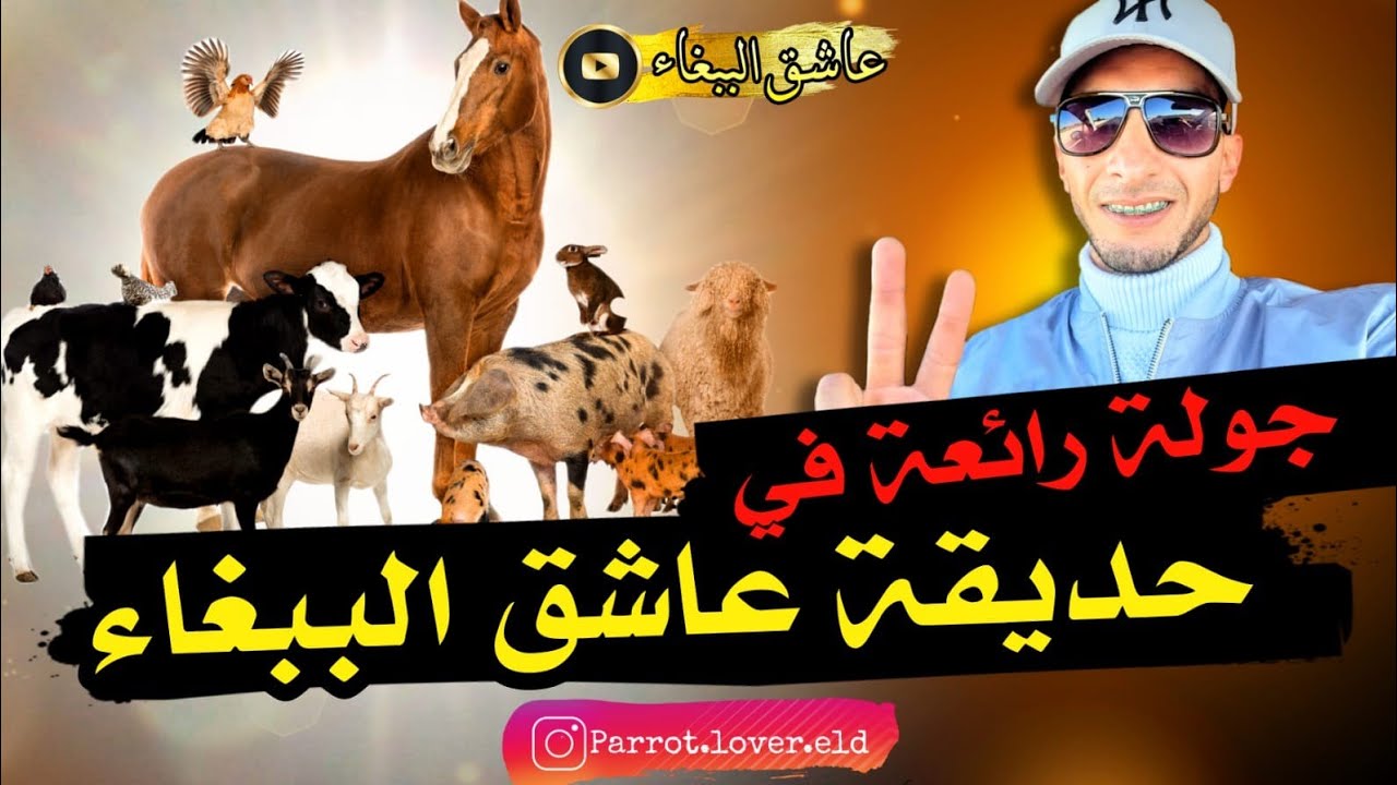 جولة🏇 رائعة في حديقة 🏕عاشق الببغاء🦜