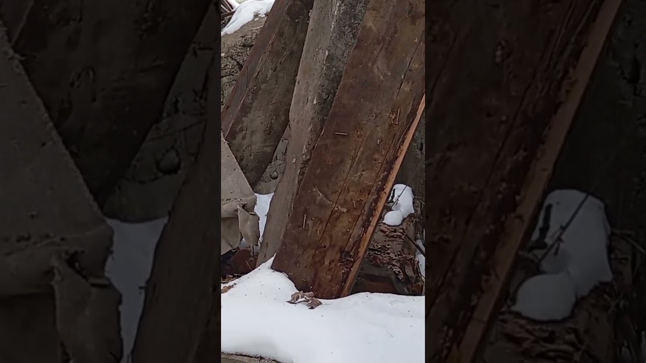 В поисках дачи