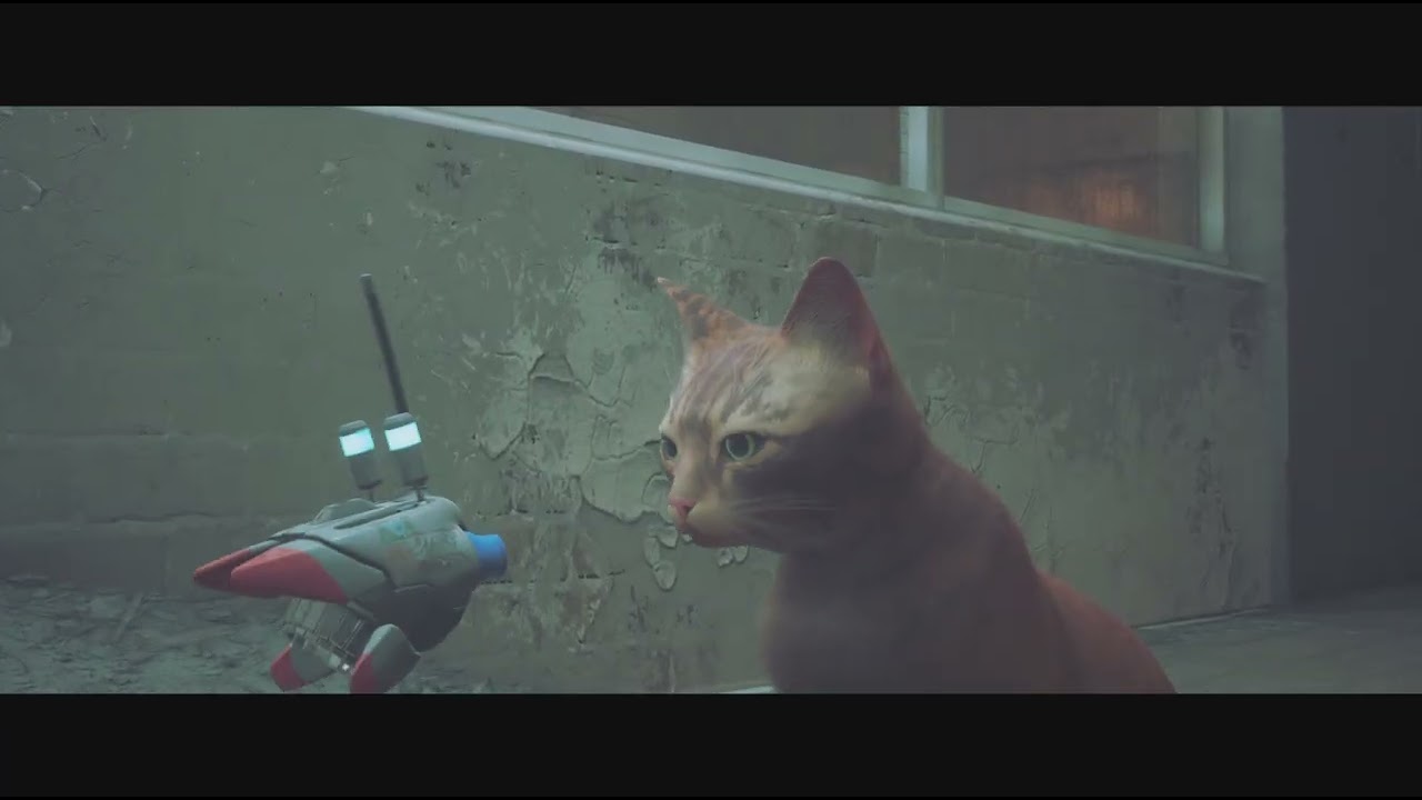 الحلقة الاخيره من تختيم Stray