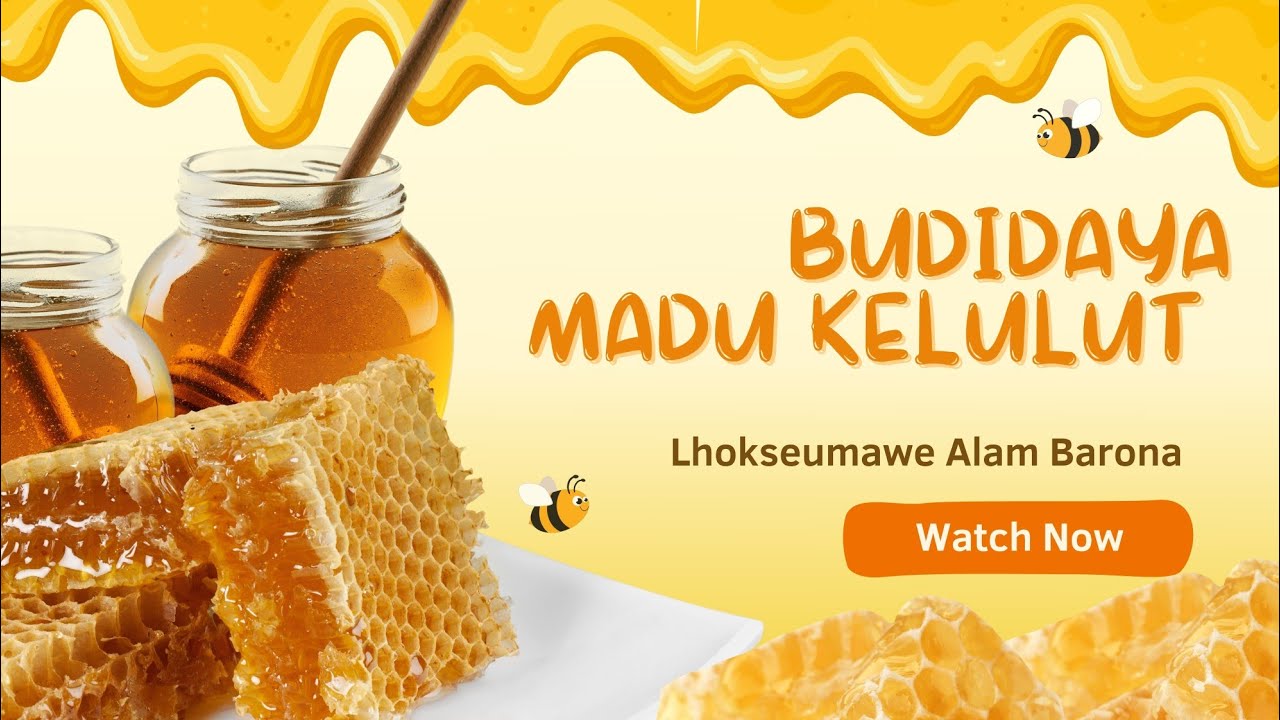 Budidaya Madu Kelulut Lhokseumawe