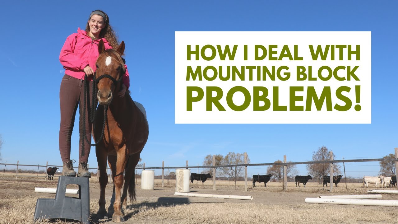 Horse Won't Stand Still To Mount: Easy Training Solution
