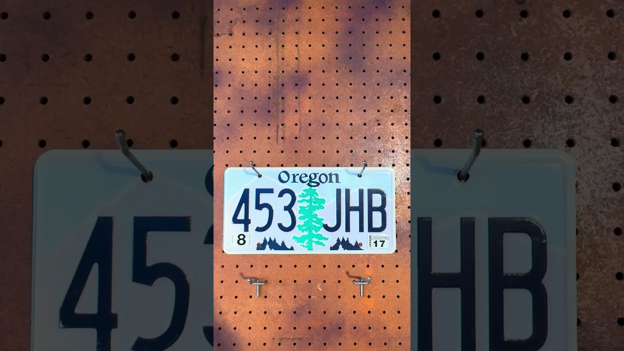 License plate of the day September 3 2024 