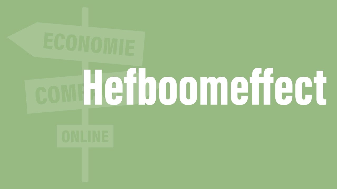 Hefboomeffect - Economie Compact Online