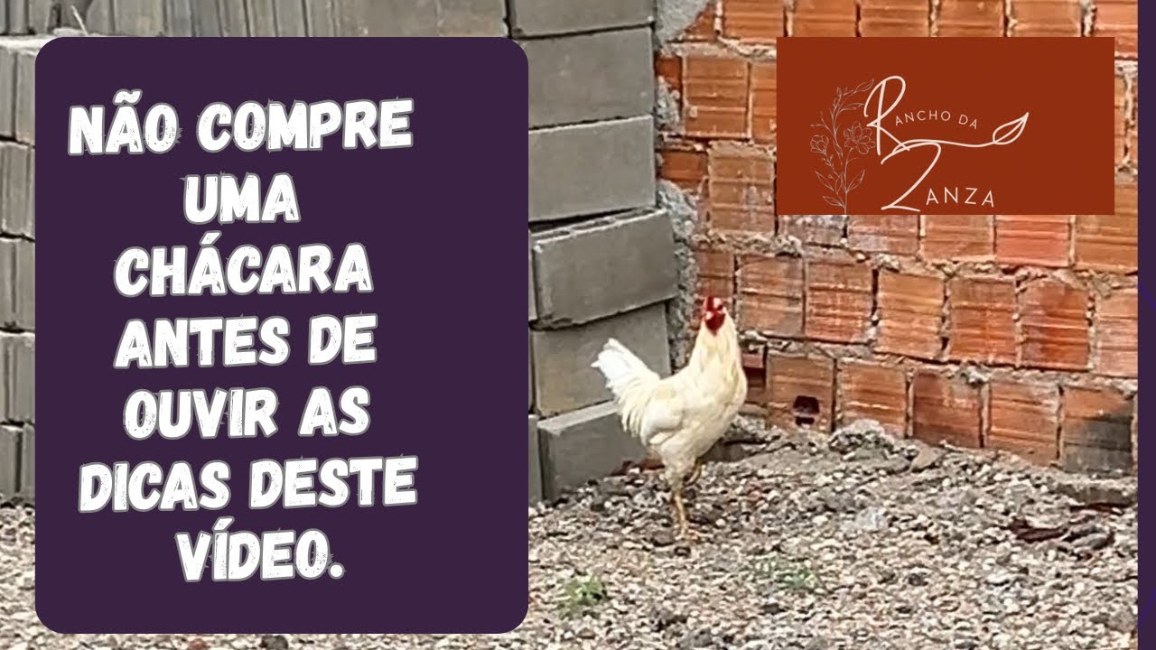 DICAS para quem está pensando em comprar sua terrinha. Não deixem de assistir!!!!