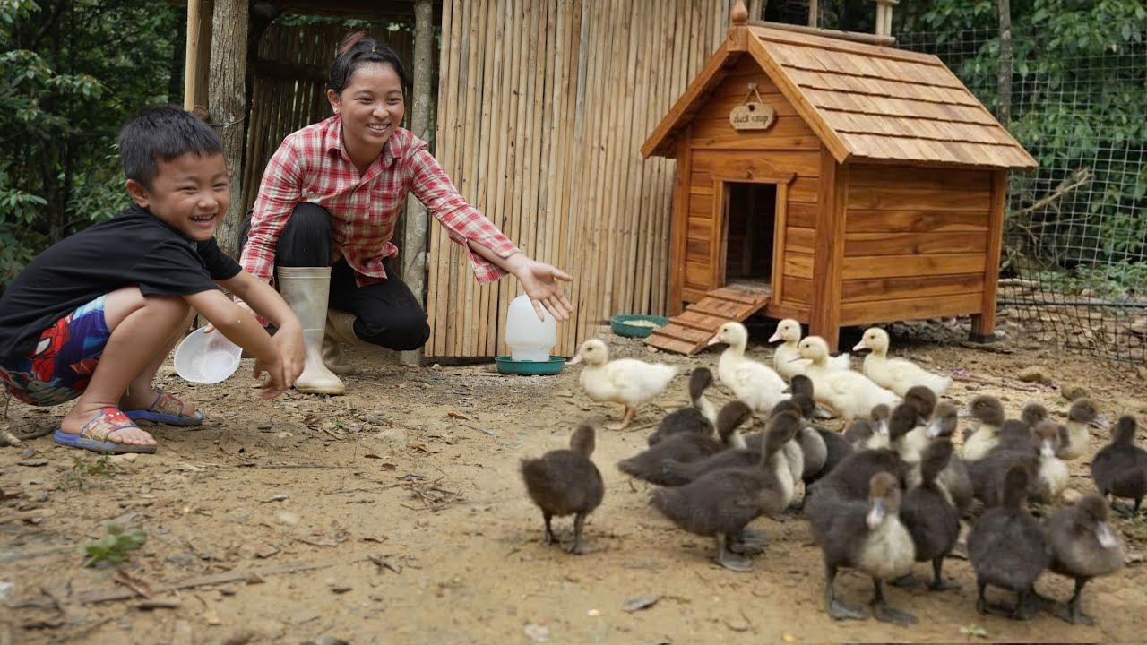 Harvesting eggs and wild water spinach to sell at the market &ndash; Linda's family happily welcomes the..