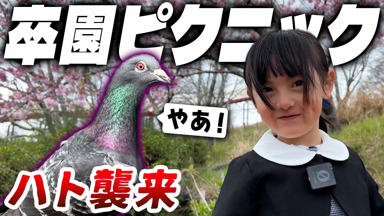 卒園記念にピクニック&hellip;のつもりが天敵ハト襲来で大パニックに陥る6歳娘【Vlog】