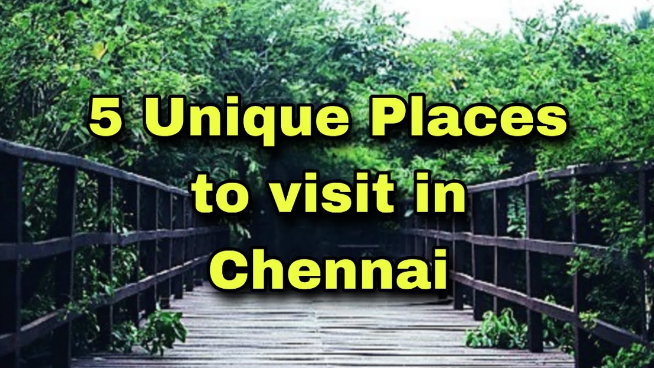 5 Interesting Places to visit in Chennai| Royal Chitran| Dhakshinachitra|Must visit place in Chennai