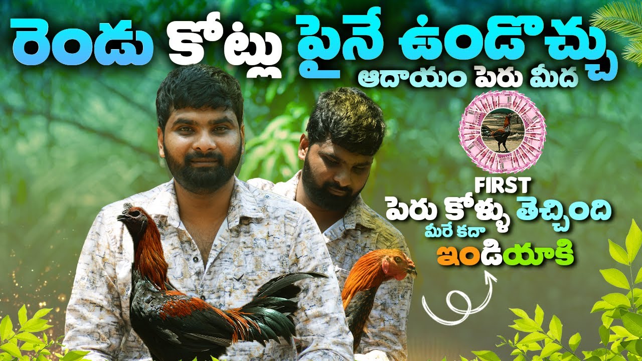 22 ఏళ్లకే పెరు కోళ్లతో ఫామ్ స్టార్ట్ చేసిన గణేష్ Interview #peruganesh #youngindia #peru #poultry