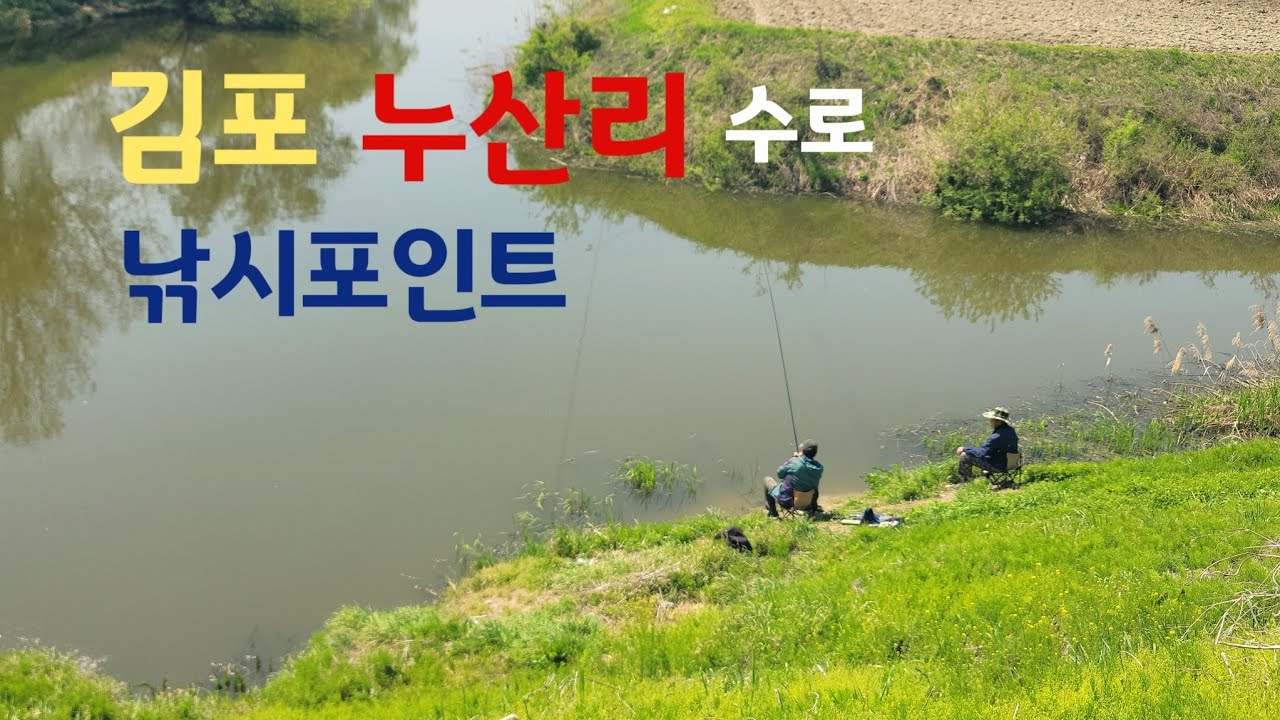 김포 누산리 수로 낚시포인트!! 붕어낚시